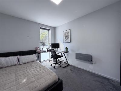 Picture 12